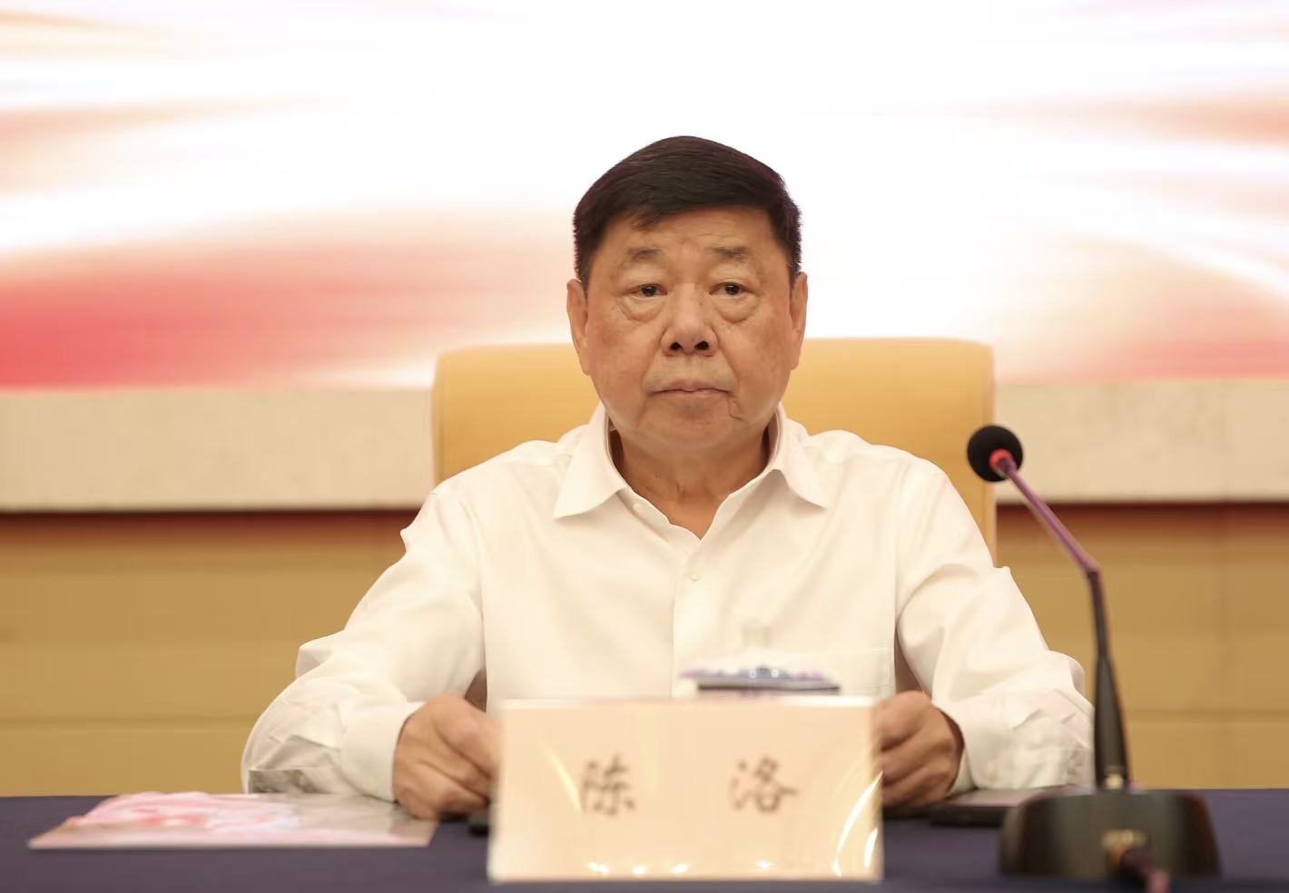 中国陶行知研究会常务副会长兼秘书长陈洛